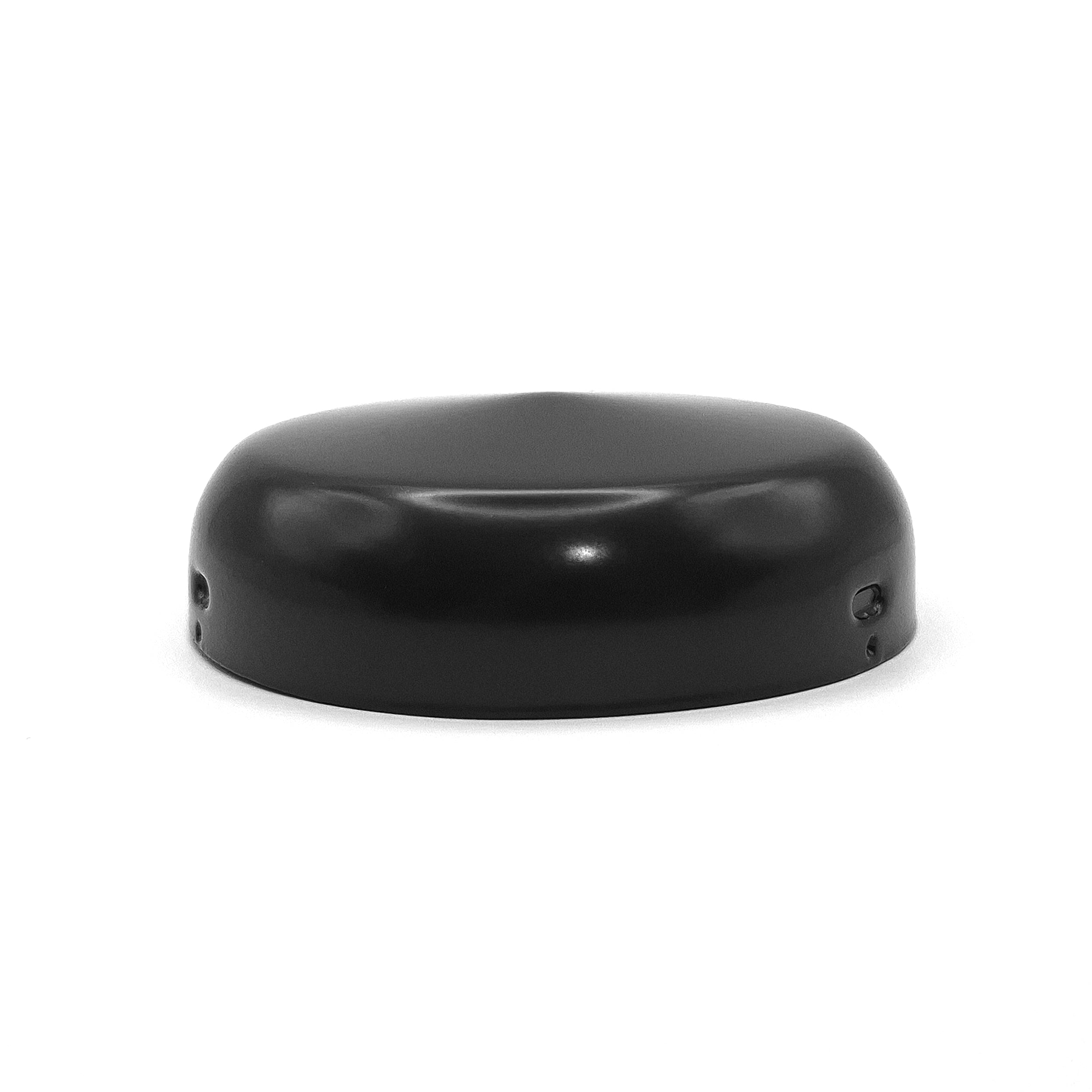 #5895	Classic Horn Button Button